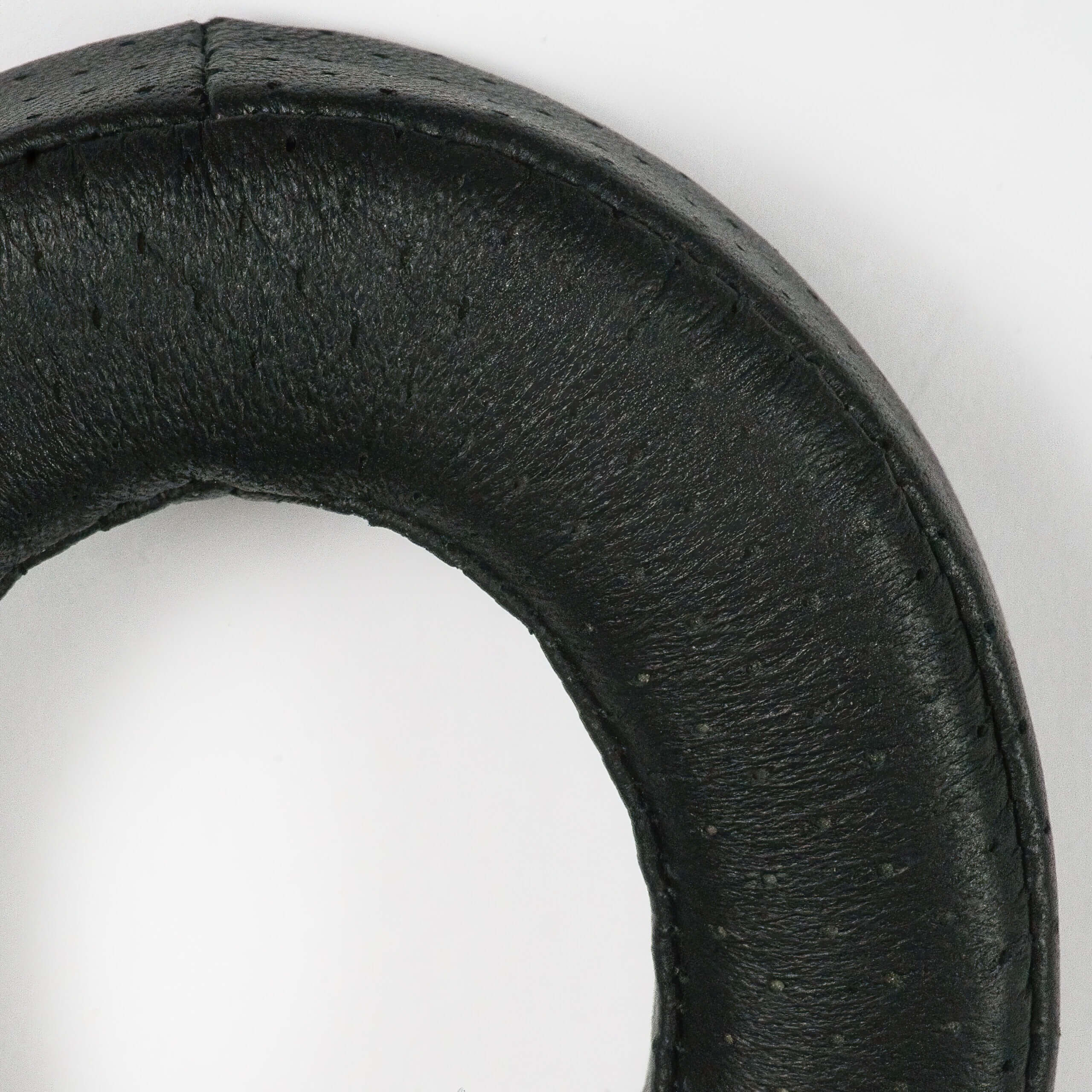 Fenestrated Up Close